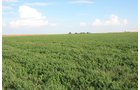 Property photo 6 - LAND AUCTION, 3255+/- Acres offered in 13 Tracts